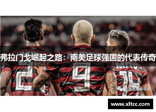 弗拉门戈崛起之路:南美足球强国的代表传奇 弗拉门戈崛起之路:南美足球强国的代表传奇