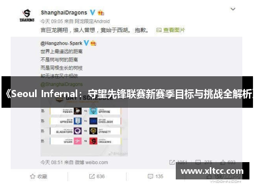 《Seoul Infernal:守望先锋联赛新赛季目标与挑战全解析》 《Seoul Infernal:守望先锋联赛新赛季目标与挑战全解析》